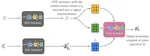 Deep Neural Operators for Detailed Binary Evolution Simulation