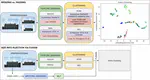 Size-Informed Representations for Unsupervised Image Clustering